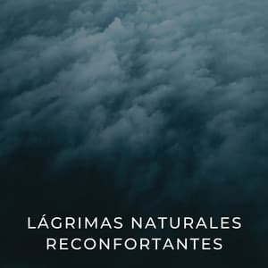 Lágrimas Naturales Reconfortantes - Sonidos de Lluvia para Relajarse
