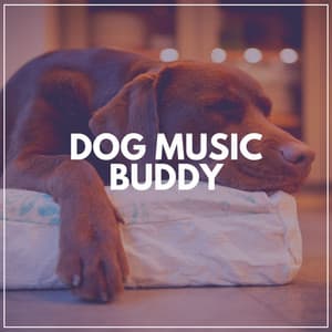 Dog Music Buddy - Dog Relaxation
