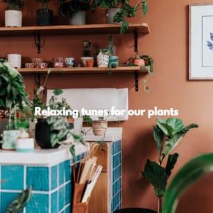 Relaxing tunes for our plants - Miami Hotel Jazz