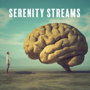 Serenity Streams: Study, Brain, and Meditation with Nature's Symphony - Brain Study Music Guys