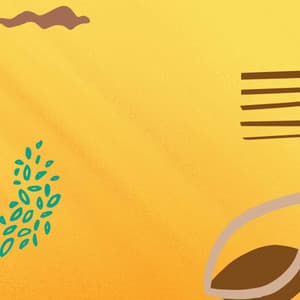 Feelings for Peak Summer - Relaxing Morning Jazz Playlist