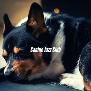 Canine Jazz Club - Relaxing Dog Music Playlists