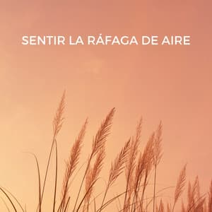 Sentir La Ráfaga De Aire - La biblioteca al aire libre