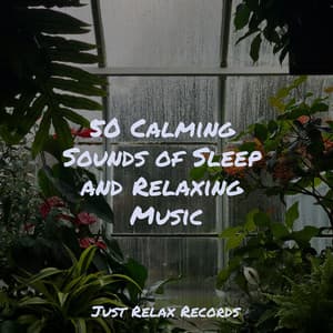 50 Calming Sounds of Sleep and Relaxing Music - Musica para Meditar