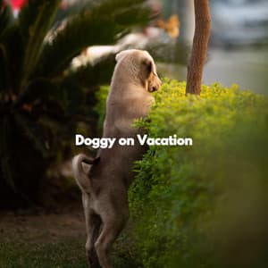 Doggy on Vacation - Calming Dog Jazz