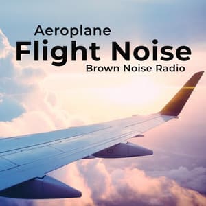 Aeroplane Flight Noise - Brown Noise Radio