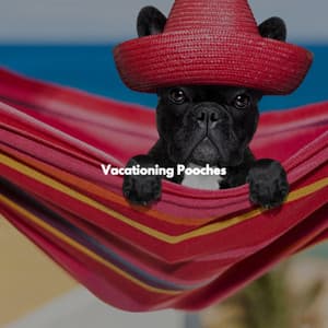 Vacationing Pooches - Study Jazz
