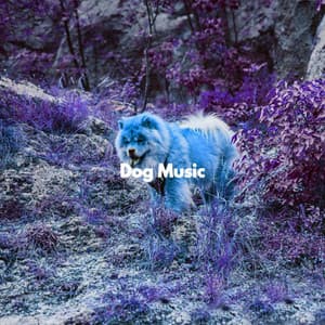 Dog Music - Dog Anxiety Music