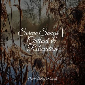 Serene Songs | Chillout & Relaxation - Natureza Musica Bem-Estar Academia