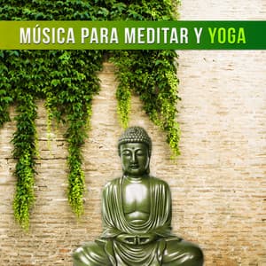 Música para Meditar y Yoga: Sonidos para Relajación y Bienestar, Dormir Profundamente, Ejercicios de Meditación y Pensamiento Positivo - Academia de Música de Yoga Pilates