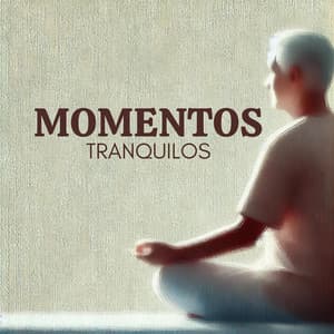 Momentos Tranquilos: Práticas de Meditação para Idosos - Meditação Ambiente