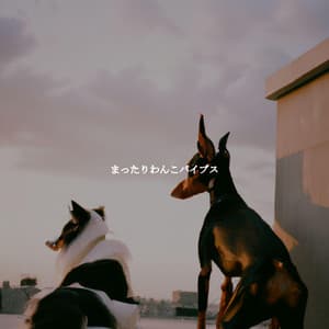 まったりわんこバイブス - Cafe Music