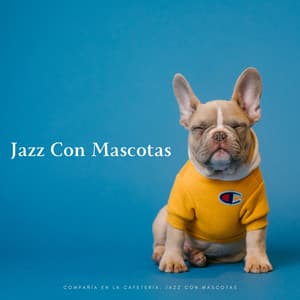 Compañía En La Cafetería: Jazz Con Mascotas - Jazz y café