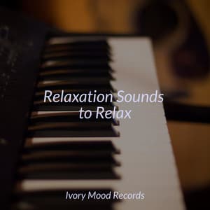 Relaxation Sounds to Relax - Ivory Mood