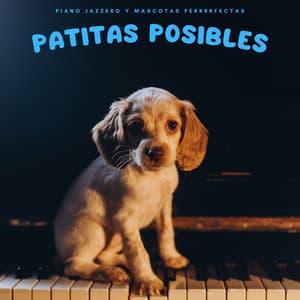 Patitas Posibles: Piano Jazzero Y Mascotas Perrrrfectas - Maestras de piano jazz
