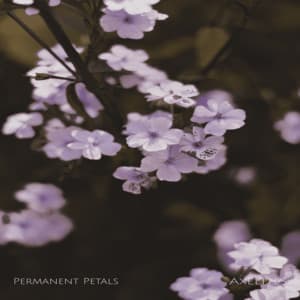Permanent Petals - Axelites