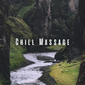 Chill Massage: Calming Water Sounds and Ambient Music - Waterfall Sounds