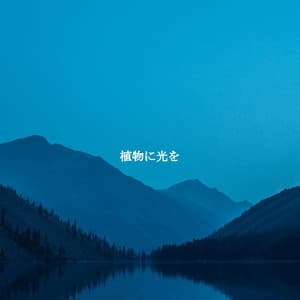 植物に光を - Jazz Lounge Bar Ambiance