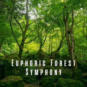 Euphoric Forest Symphony - Forest Sounds