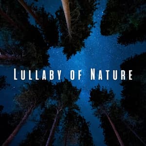 Lullaby of Nature: Sleep Deeply with Chill Soundscapes - Ambient Nature project