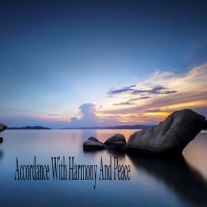 Accordance With Harmony And Peace - Relajacion Meditar Academia