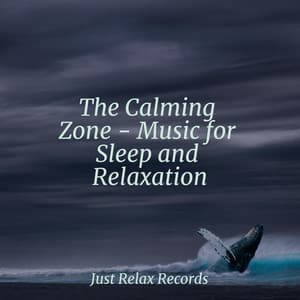 The Calming Zone - Music for Sleep and Relaxation - Música relaxante