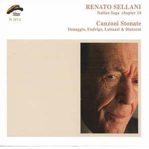 Canzoni stonate - Renato Sellani