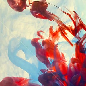 The Music You Need - Hampton Hawes