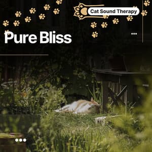 Cat Sound Therapy: Moments of Serenity, Pure Bliss - Cat & Calm
