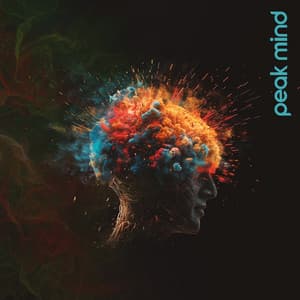 Peak Mind: Slow Chillout Music for Deep Concetration, Brain Stimulation, Boost Your Mind Power & Clarity - Study Time Collection