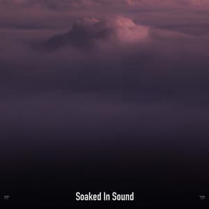 !!!!" Soaked In Sound "!!!! - Sonidos De Truenos y Lluvia