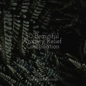 50 Beautiful Anxiety Relief Compilation - Thunderstorm Sound Bank