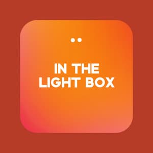 In The Light Box - Enlightened State