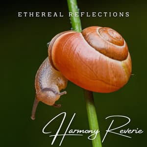 Harmony Reverie: Meditative Piano Melodies - Gutter Keys