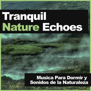 Tranquil Nature Echoes - Musica Para Dormir y Sonidos de la Naturaleza