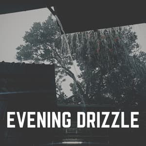 Evening Drizzle - Heavy Rain Sounds