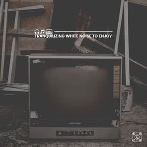 Tranquilizing White Noise to Enjoy - Airplane White Noise