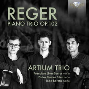 Reger: Piano Trio, Op. 102 - Max Reger