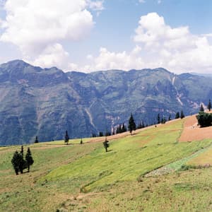 30 Day Earth: Whirls of Light - Yoga Music