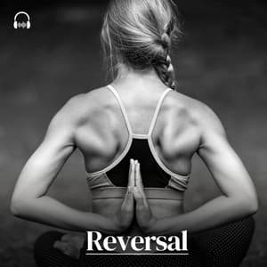 Reversal - Relaxing Cabin Noise