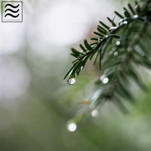 Celestial Restful Noises of Tibetan Music - Celestial Meditation Master