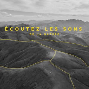 Écoutez les Sons de la Nature. Musique Relaxante pour la Détente et Anti – Stress - Nature Académie