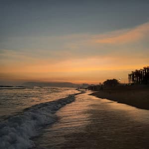 365 Wild: Nature Escapes - Nature Sound Collection