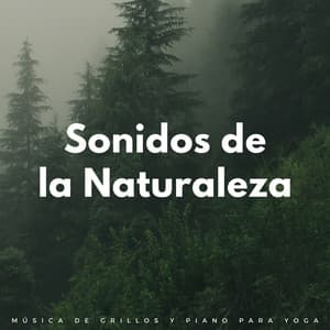 Sonidos De La Naturaleza: Música De Grillos Y Piano Para Yoga - Grabaciones relajantes de la Naturaleza