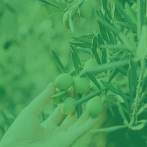 Subdued Bgm for After Hours Work - Easy Dinner Music