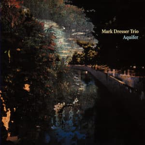 Aquifer - Mark Dresser Trio