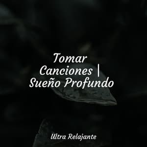Tomar Canciones | Sueño Profundo - Meditação Yoga