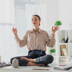 Meditation and Calm: Music for Peace - LOFI Study Sessions