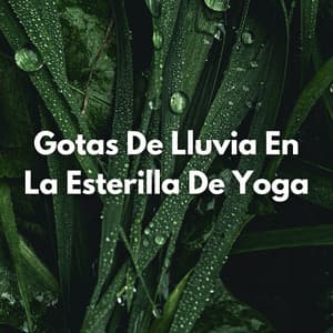 Gotas De Lluvia En La Esterilla De Yoga - Registradores de lluvia