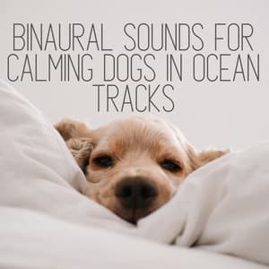 Binaural Sounds for Calming Dogs in Ocean Tracks - Binaural State